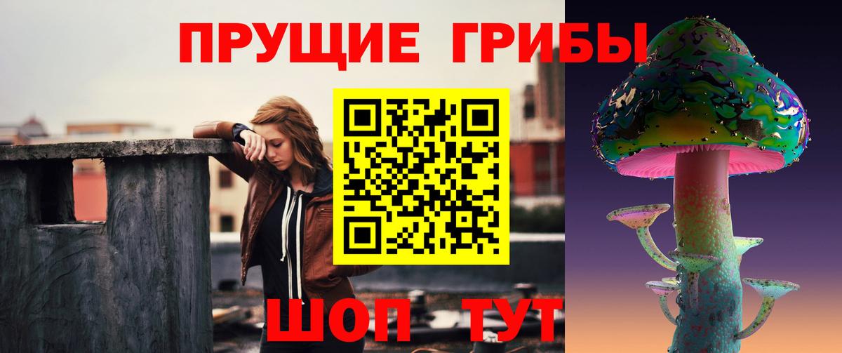 Псилоцибиновые грибы GOLDEN TEACHER  Вход с VPN  Семёнов  Псилоцибиновые грибы мухоморы 